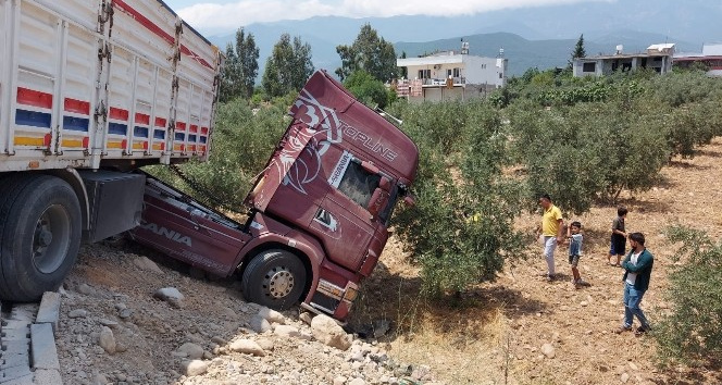 Tır zeytin bahçesine girdi